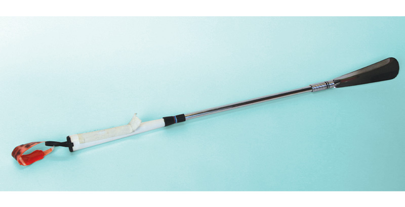 Long-handled shoe horn