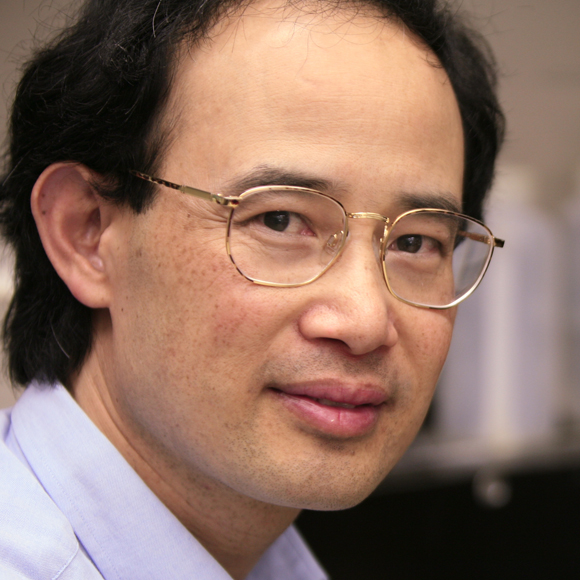Wayne Chen